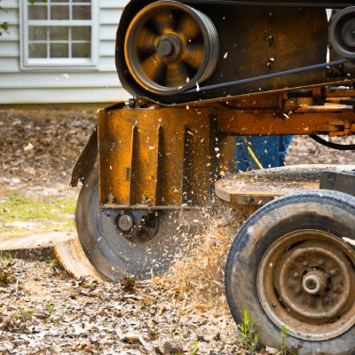 STUMP GRINDING